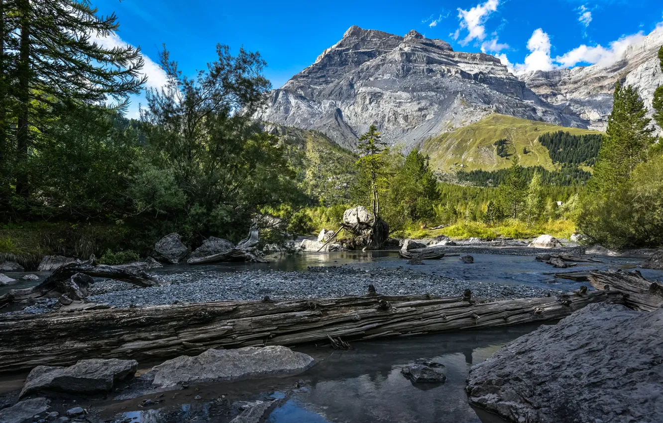 Фото обои лес, горы, озеро, Швейцария, Switzerland, Bernese Alps, Бернские Альпы, Valais