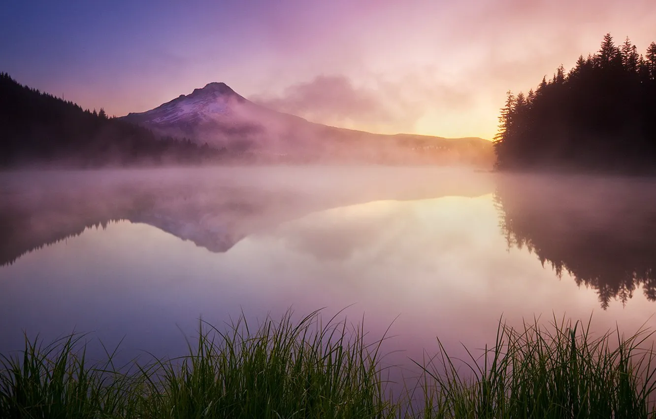 Фото обои трава, горы, туман, озеро