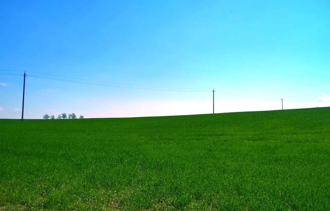 Фото обои зелень, поле, небо, линии, голубой, весна, зелёный, ярко