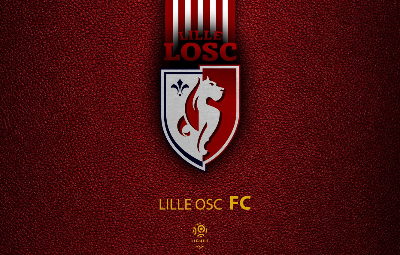 Фото обои wallpaper, sport, logo, football, Ligue 1, Lille OSC