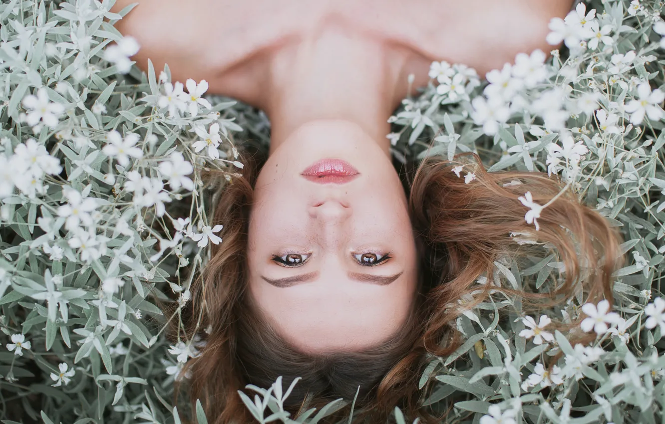 Фото обои взгляд, девушка, цветы, лицо, волосы, плечи, Alicja Chutkiewicz