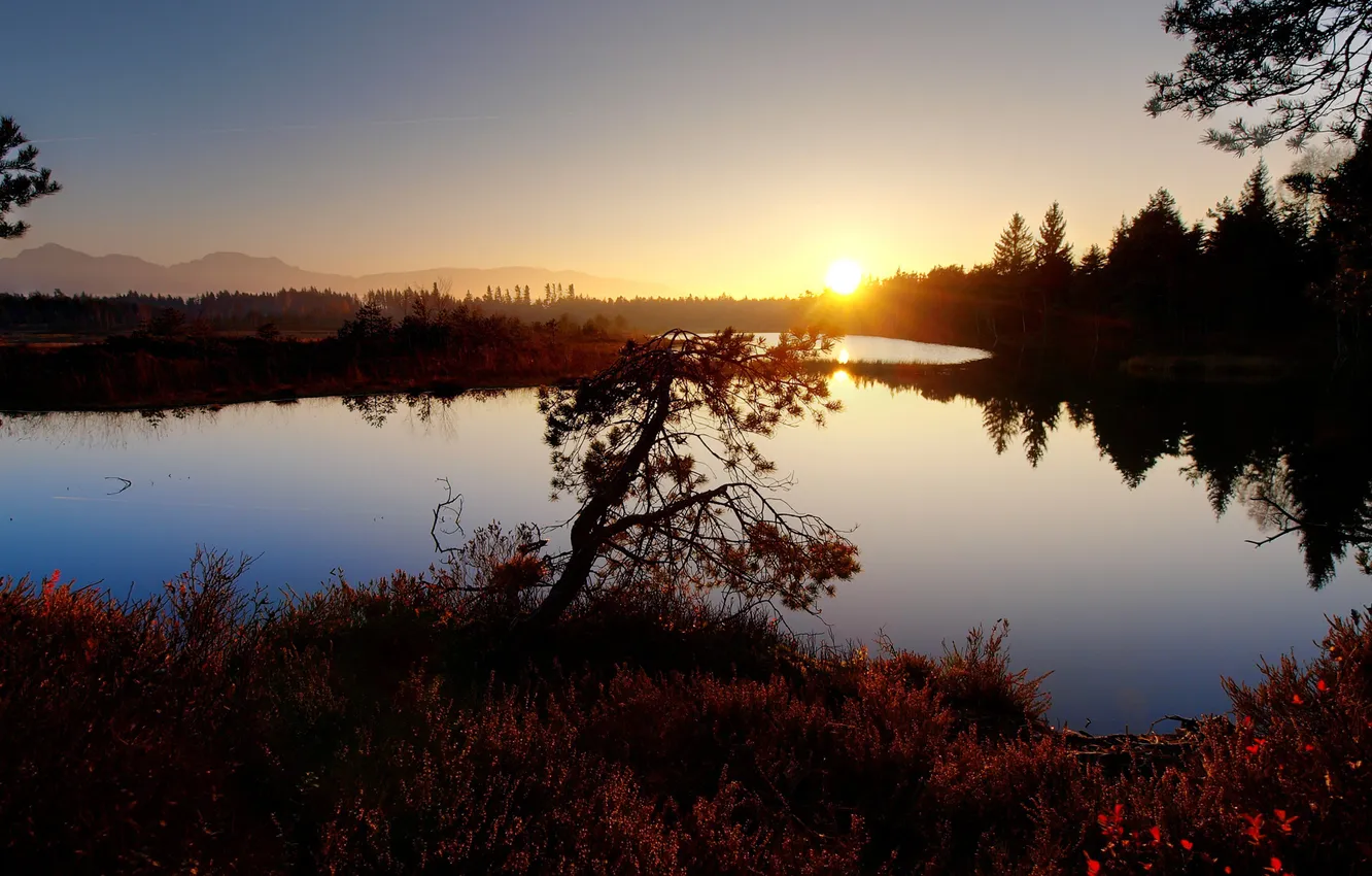 Фото обои осень, закат, озеро, гладь, дерево