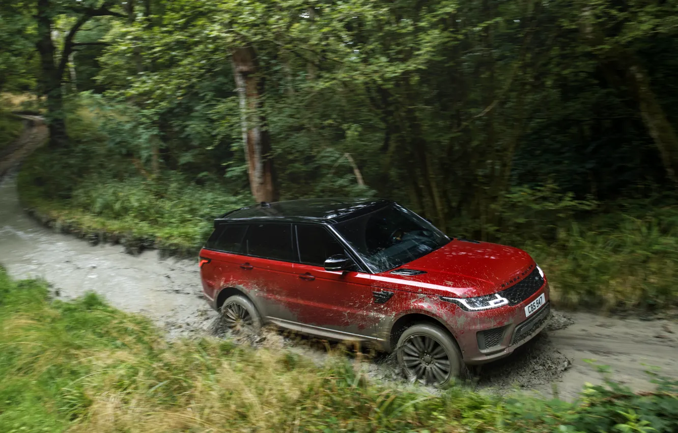 Фото обои дорога, лес, вода, движение, растительность, грязь, внедорожник, Land Rover