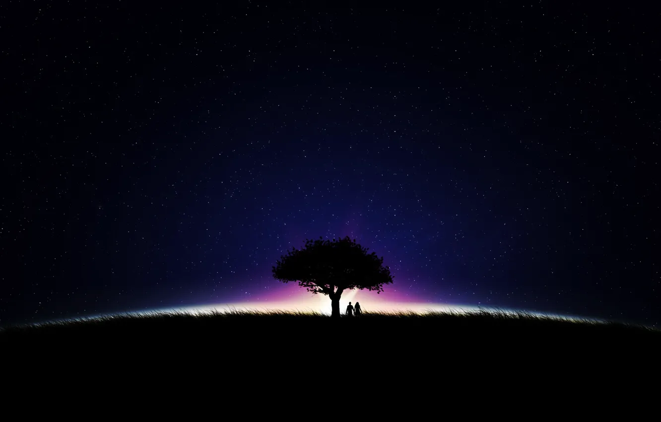 Фото обои небо, звезды, ночь, дерево