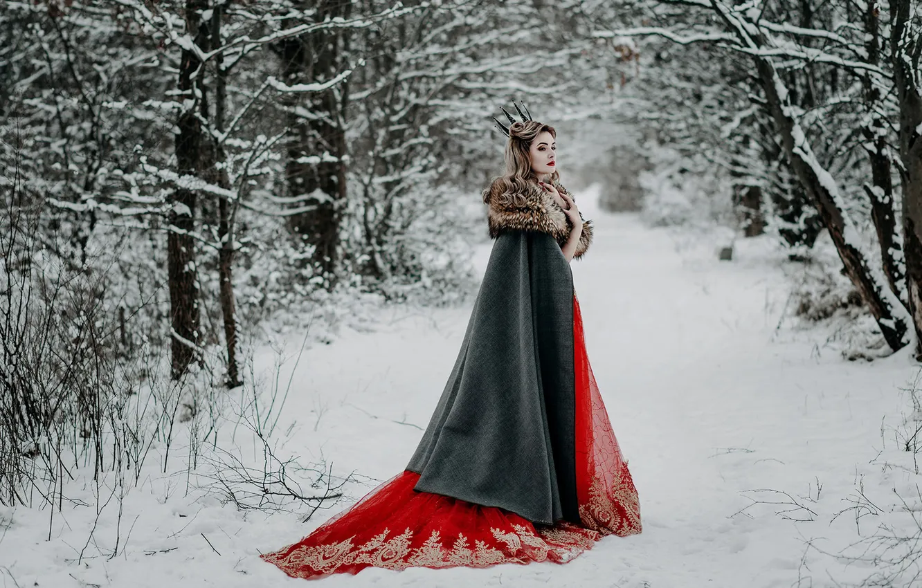 Фото обои зима, лес, взгляд, девушка, снег, природа, поза, стиль