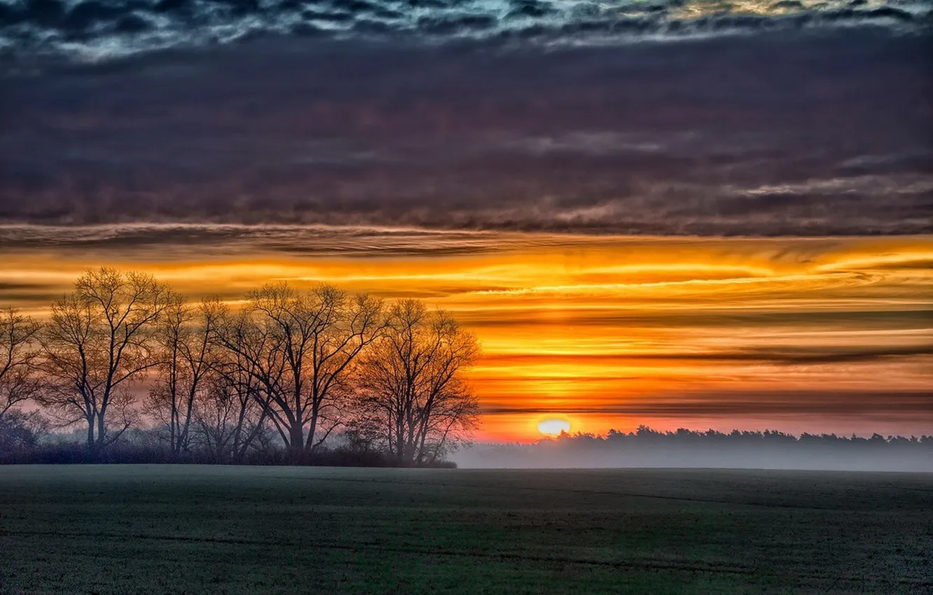 Фото обои поле, закат, природа, туман, восход, фото, дерево