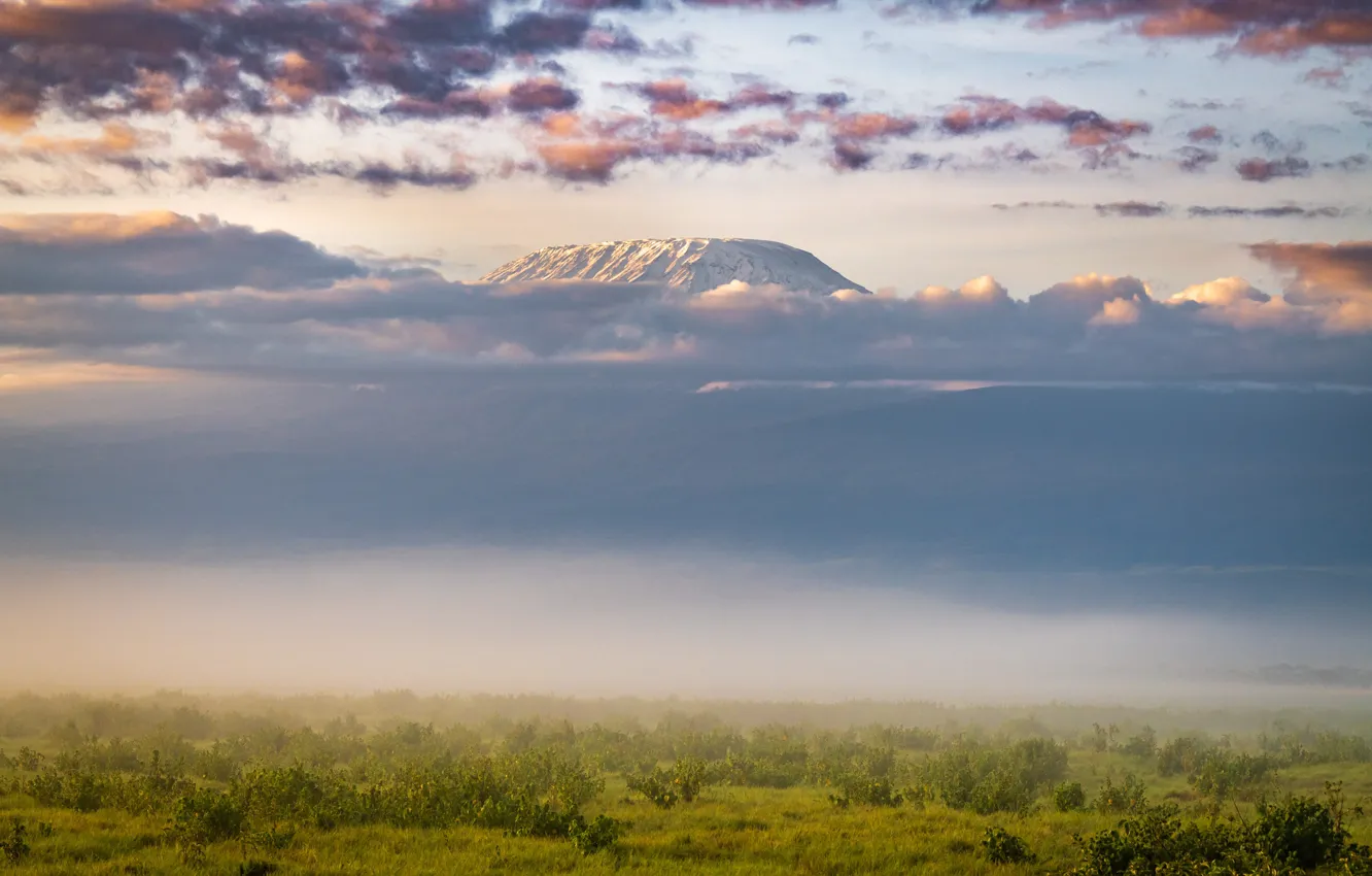 Фото обои облака, саванна, Африка, clouds, Africa, Килиманджаро, savannah, Jeffrey C. Sink