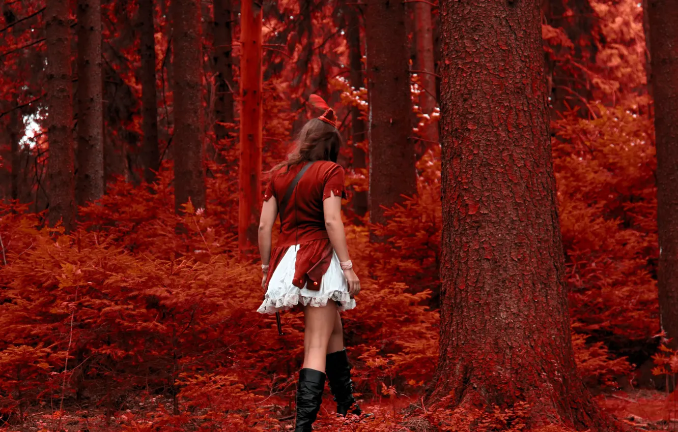 Фото обои девушка, красная, в красном, шапочка, красный лес