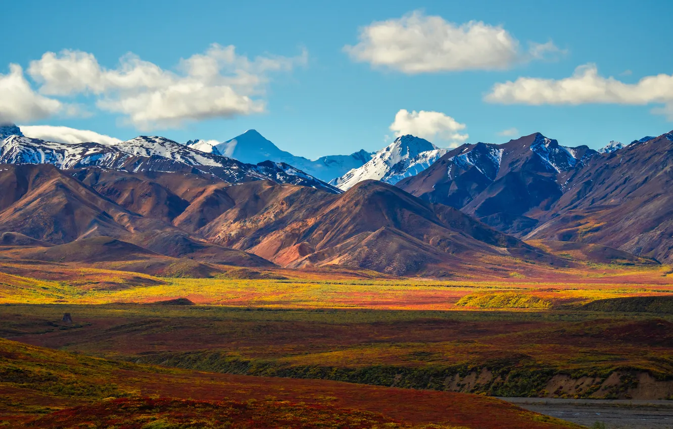 Фото обои горы, Аляска, США, Denali National Park