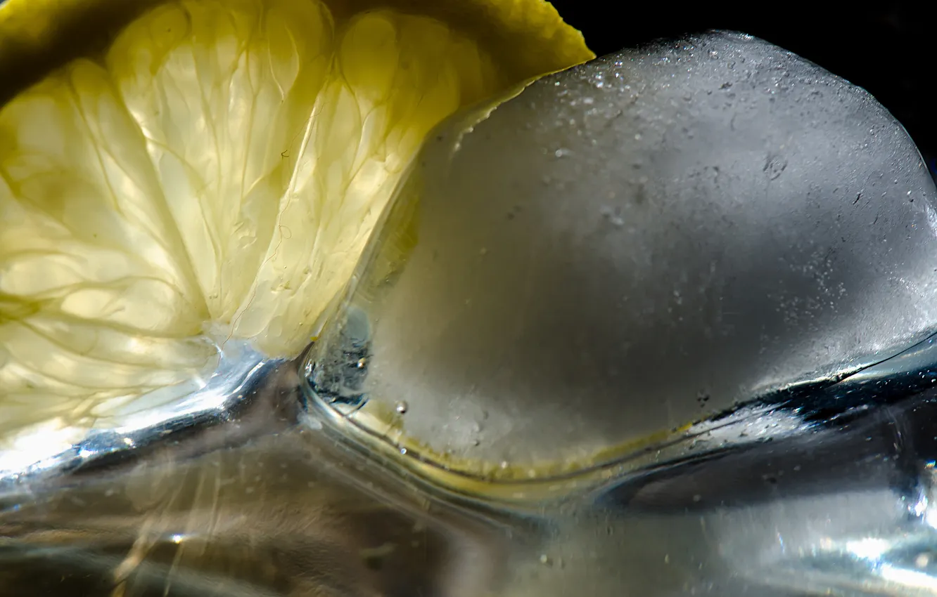Фото обои макро, лимон, лёд, долька