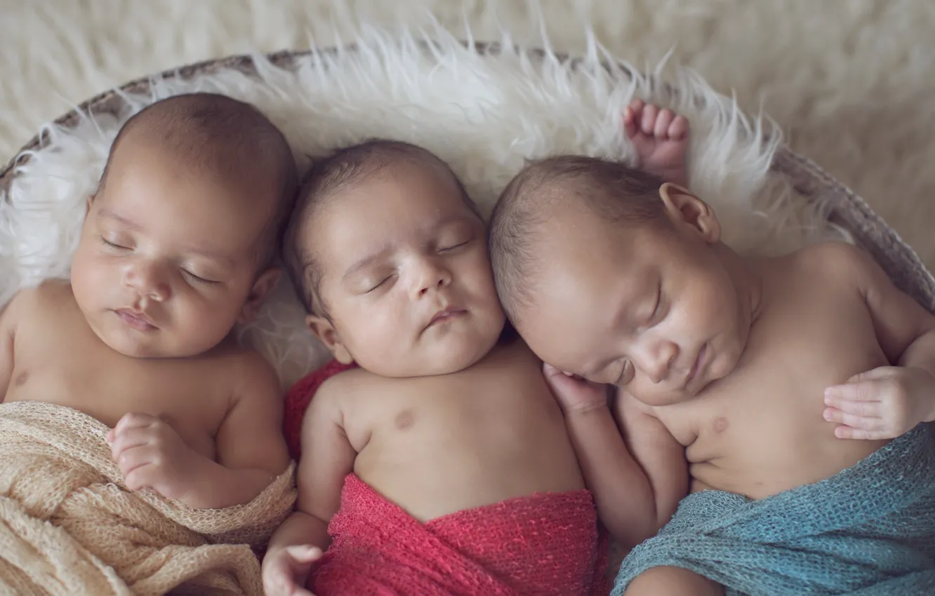 Фото обои спокойствие, сон, малыши, трио, милые, младенцы, тройня