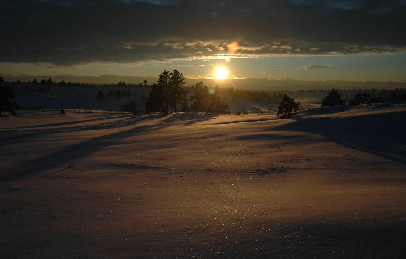 Фото обои зима, солнце, снег, пейзажи