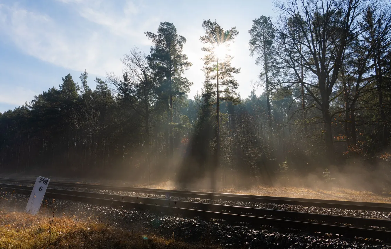 Фото обои nature, rays, morning