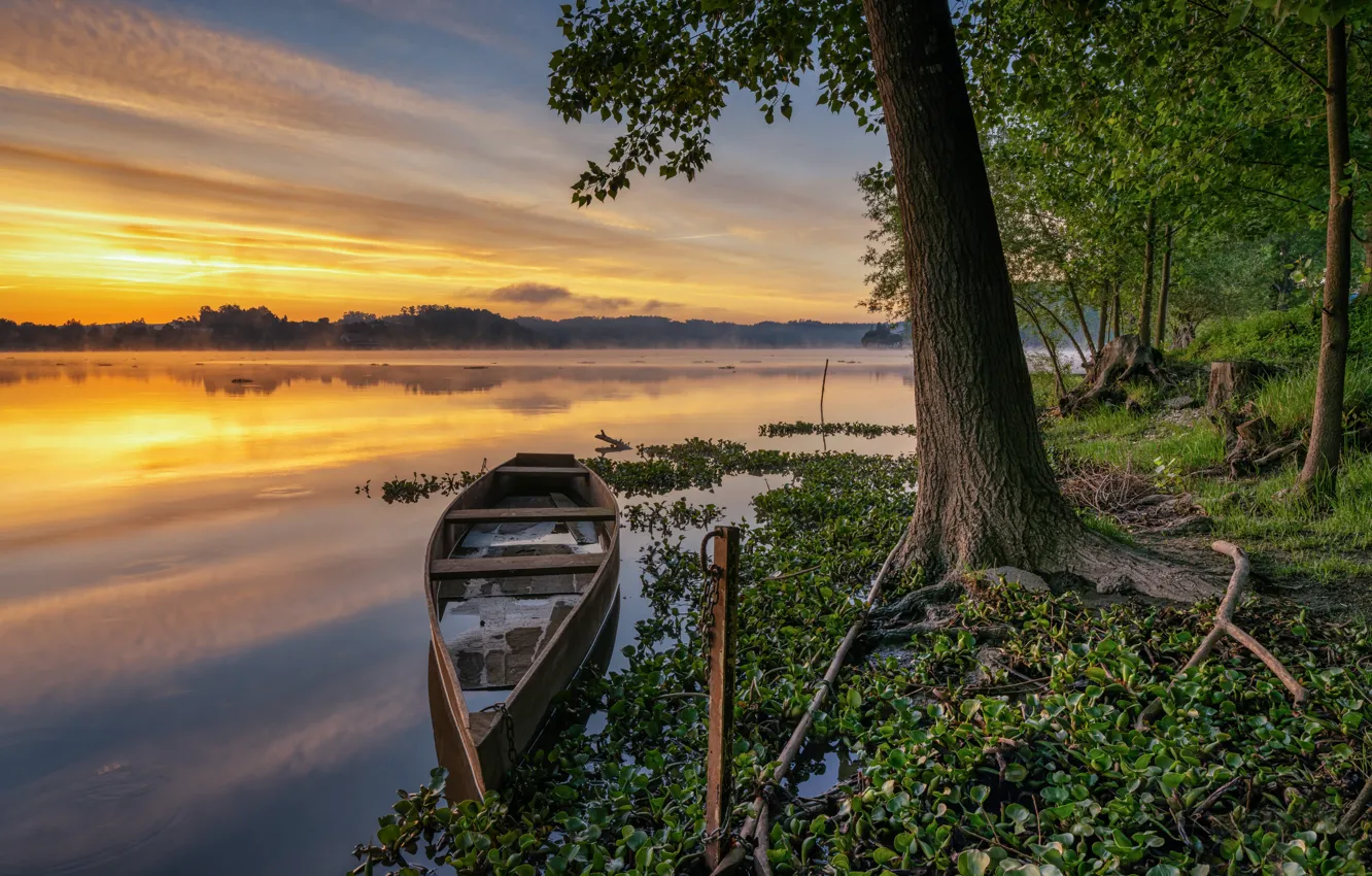 Фото обои деревья, закат, лодка, Португалия, лагуна, Portugal, Pateira de Fermentelos Lagoon, Лагуна Патейра-де-Ферментелос