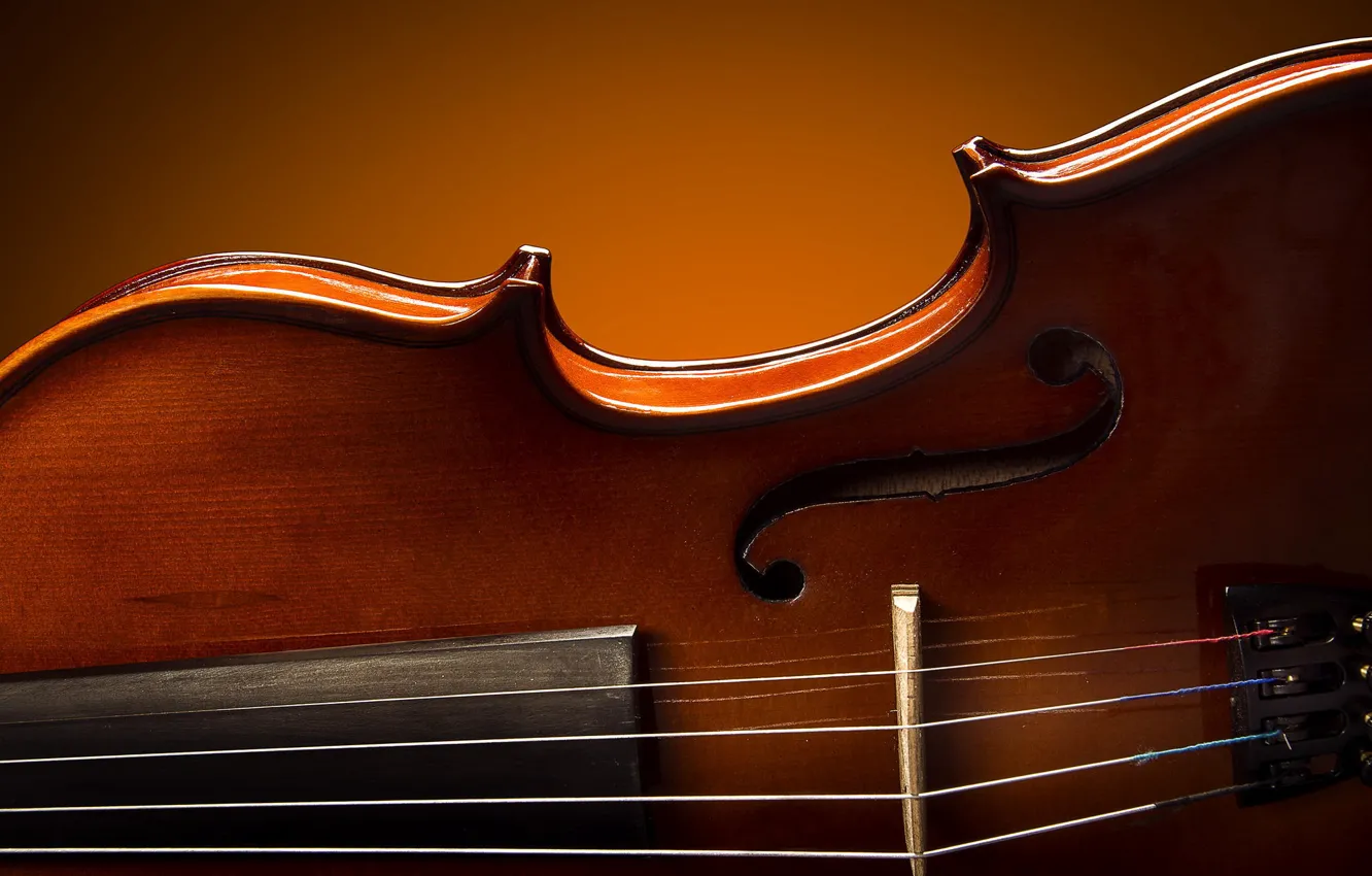 Фото обои макро, скрипка, блеск, лак, Royal Violin