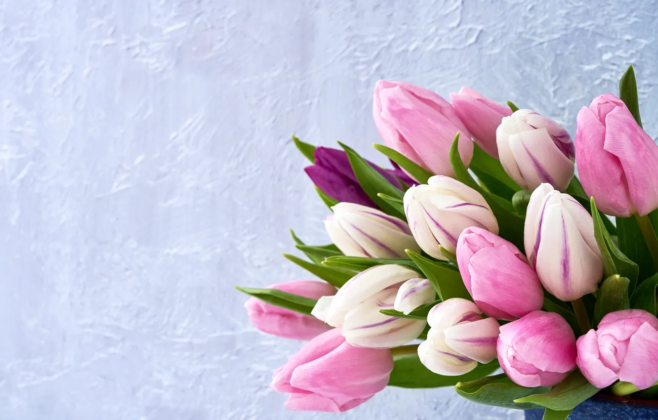 Фото обои цветы, букет, тюльпаны, розовые, fresh, pink, flowers, tulips