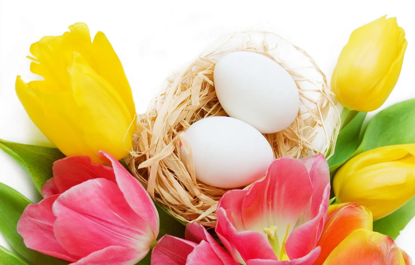 Фото обои цветы, праздник, яйца, пасха, тюльпаны