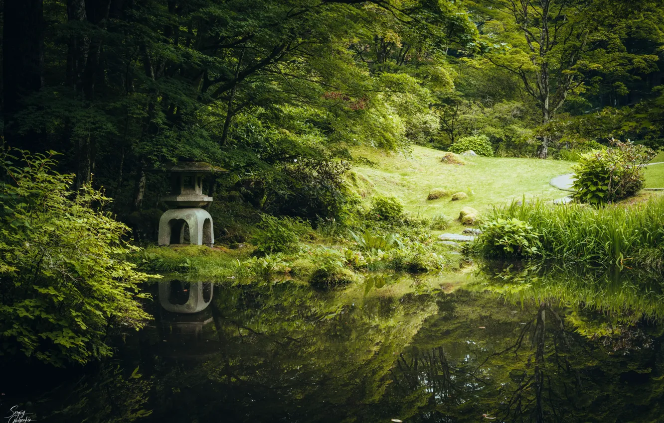 Фото обои grass, trees, stone, reflection, pond