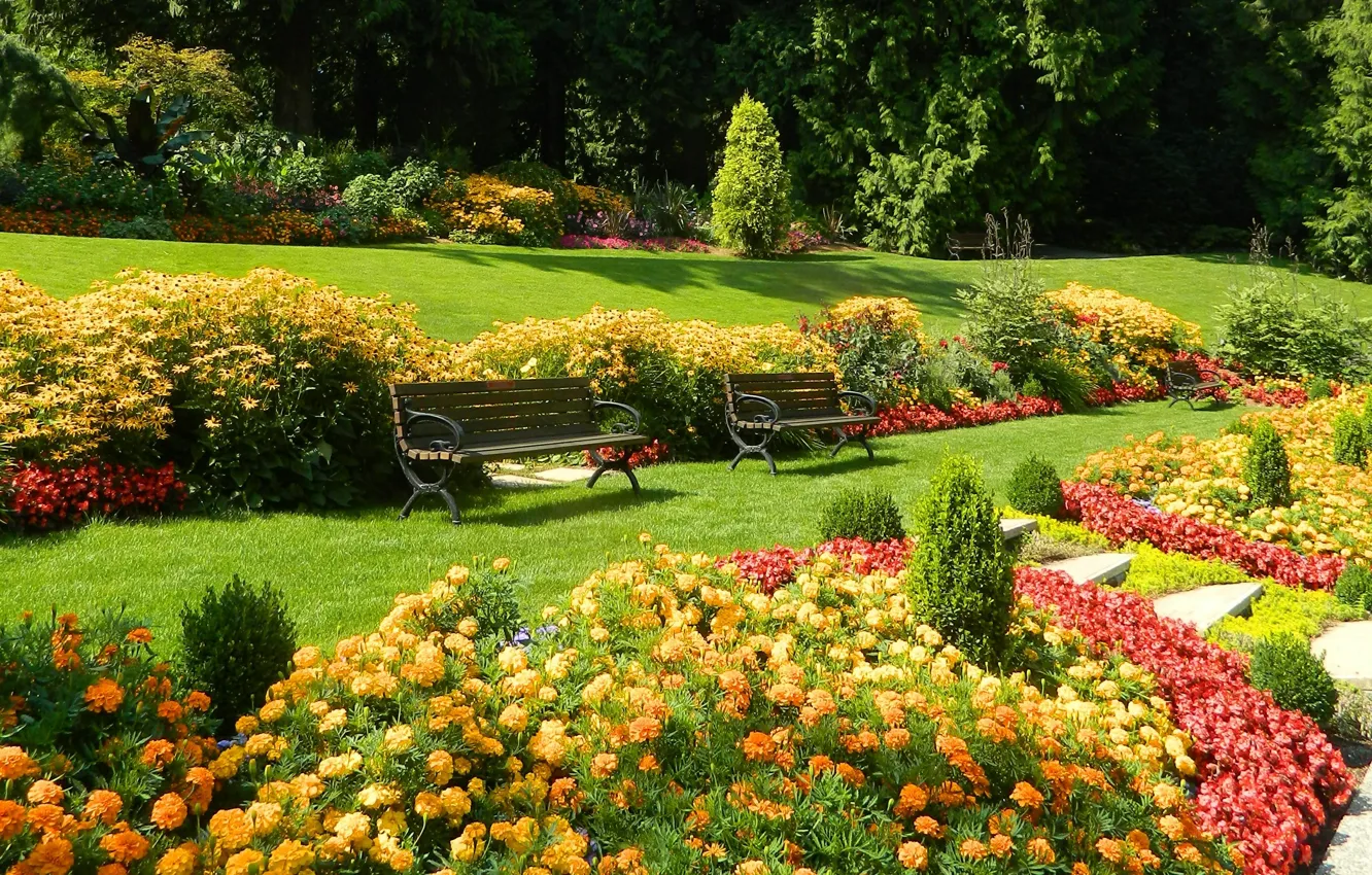 Фото обои цветы, парк, газон, Природа, растения, весна, сад, скамейки