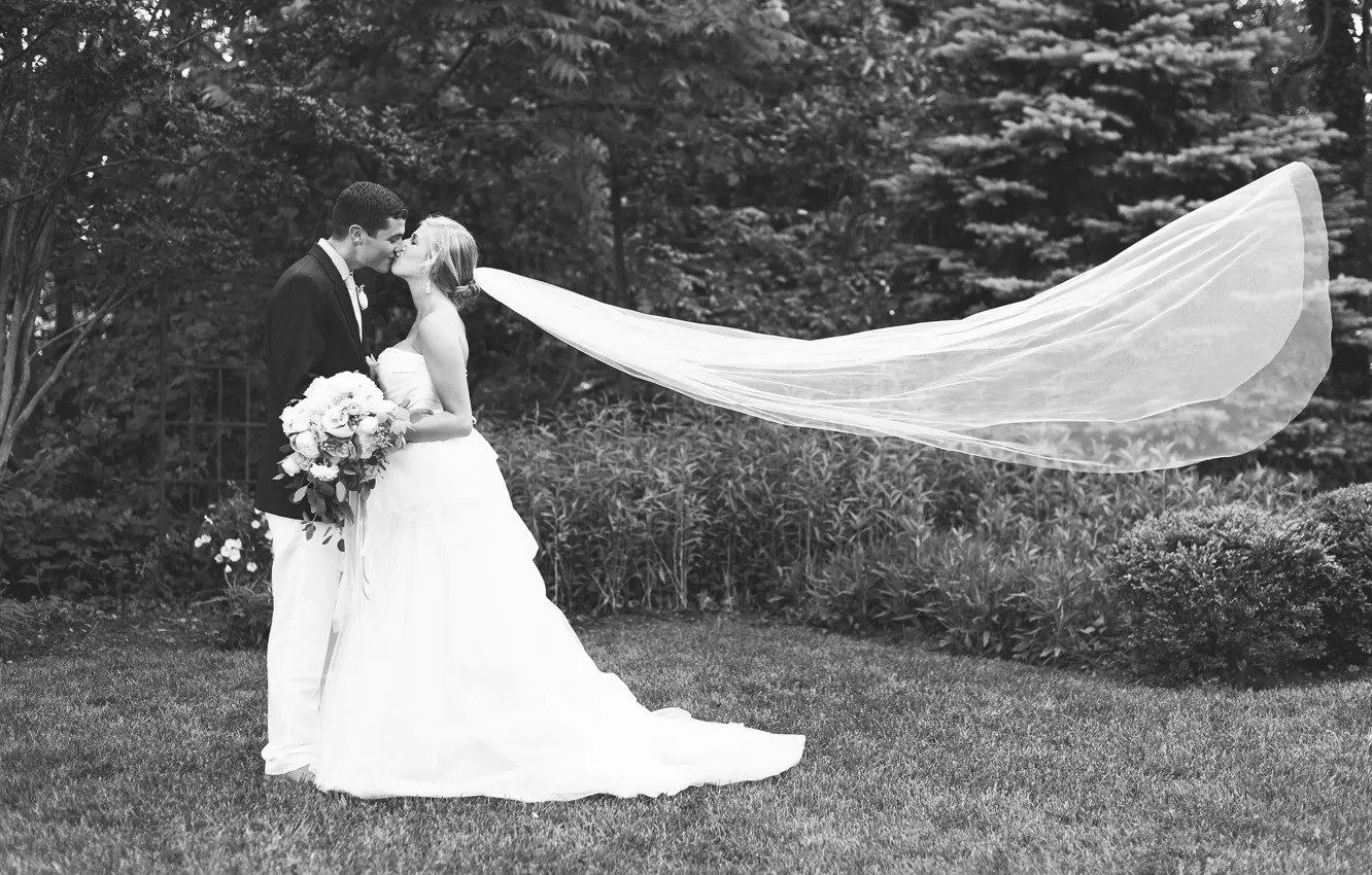 Фото обои трава, поцелуй, платье, костюм, влюбленные, двое, невеста, фата
