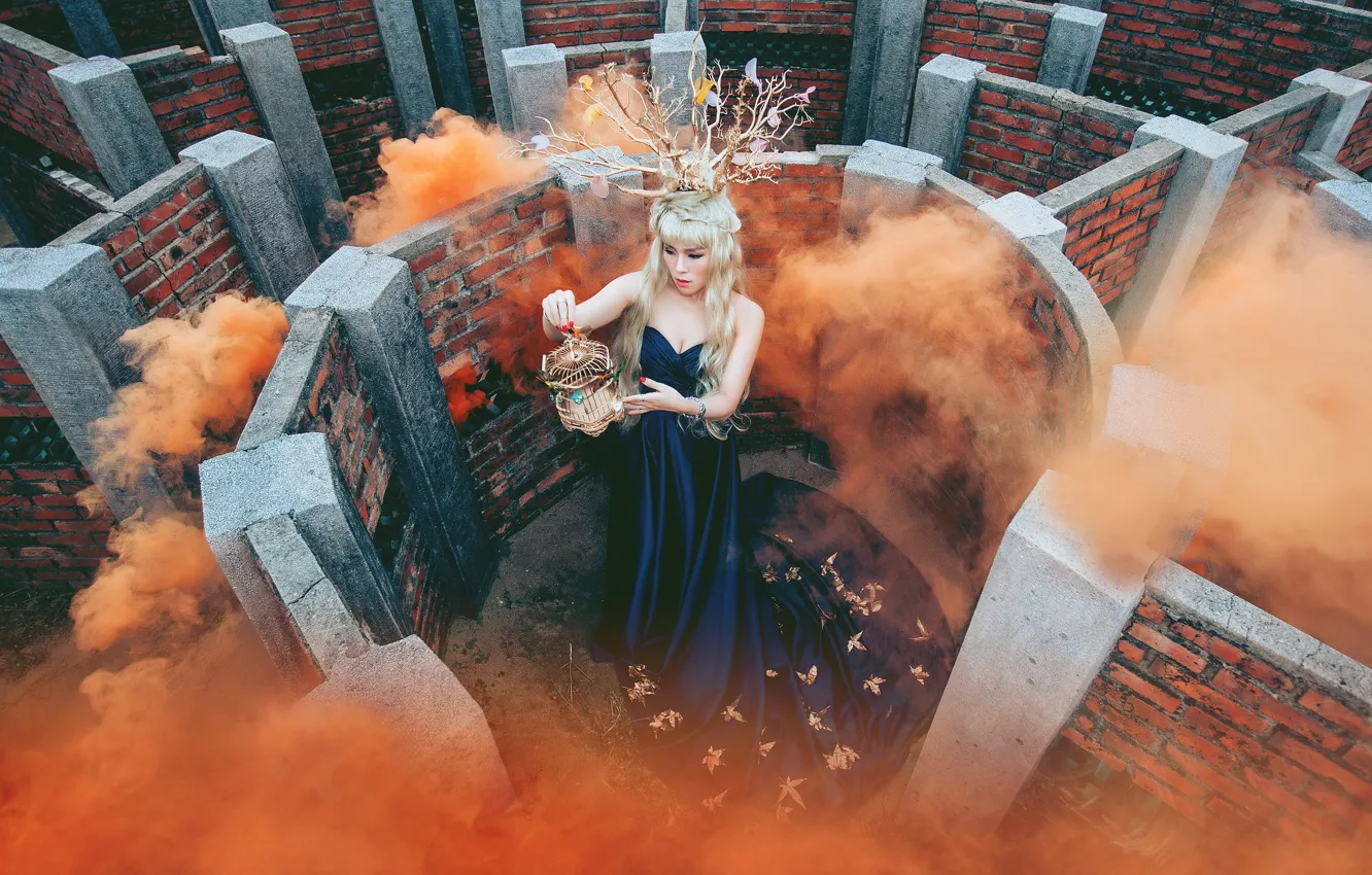 Фото обои девушка, фон, лабиринт