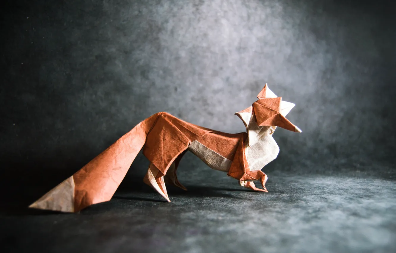 Фото обои серый, лиса, хвост, fox, оригами, tail, origami, gray