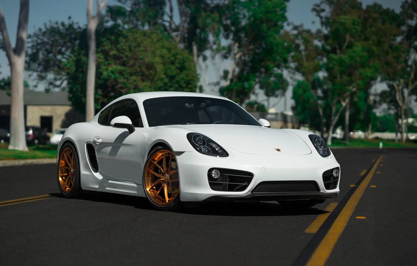 Фото обои Porsche, Cayman, Wheels, BLK