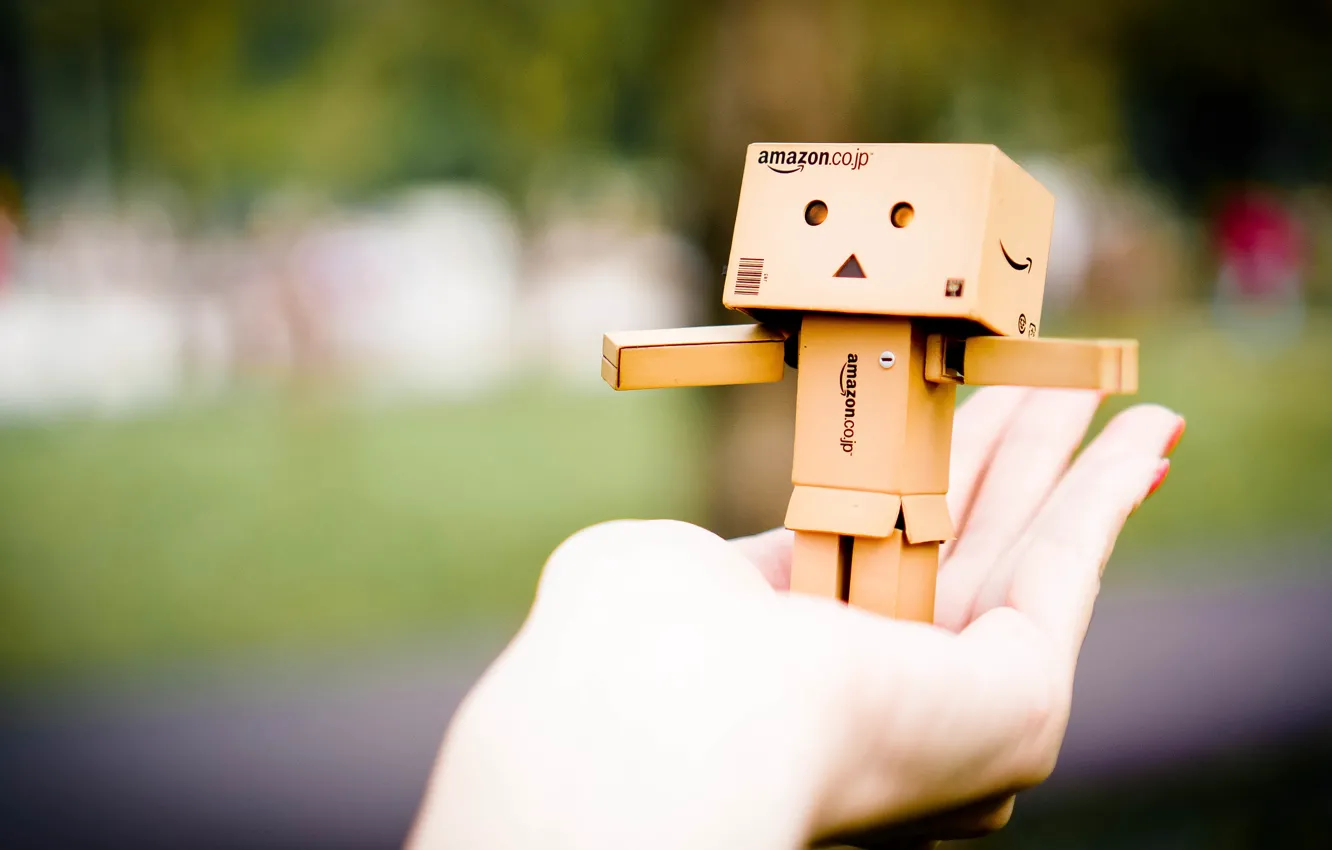 Фото обои bokeh, hand, amazon, carton, palm, cardboard, Amazon Toy, Danboh