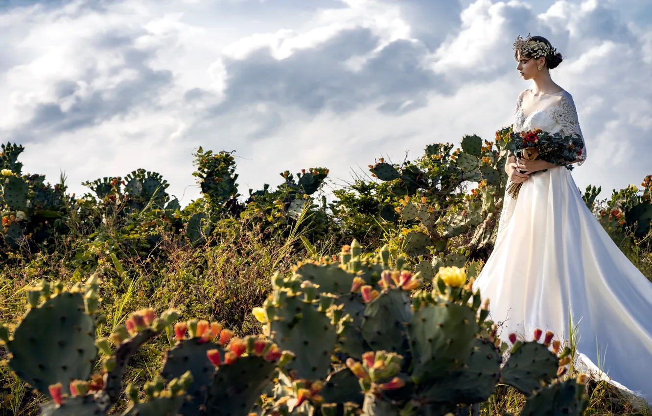 Фото обои девушка, стиль, модель, букет, кактусы, свадебное платье