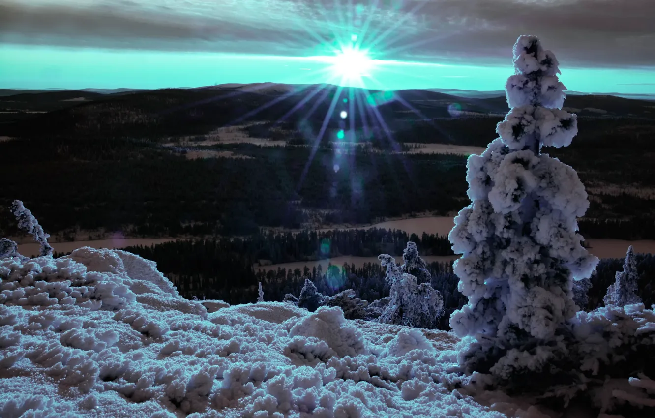 Фото обои солнце, снег, Lapland Dream