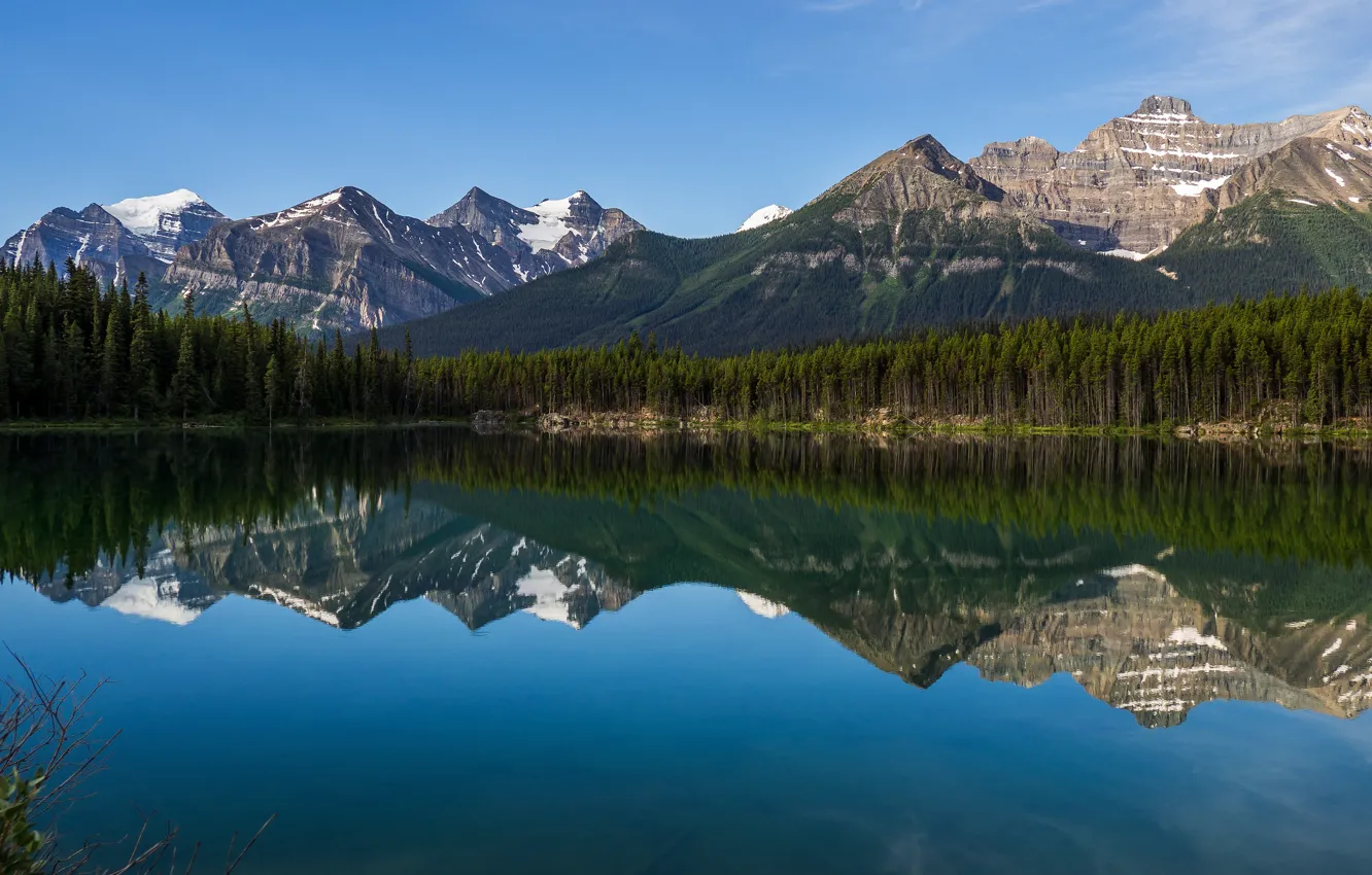 Фото обои лес, небо, облака, снег, пейзаж, горы, ветки, природа