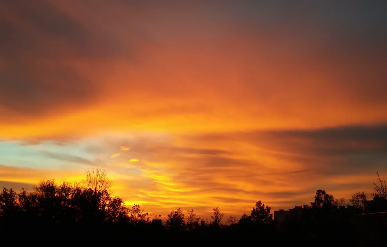 Фото обои fire, cloud, sunrise, orange, Morning