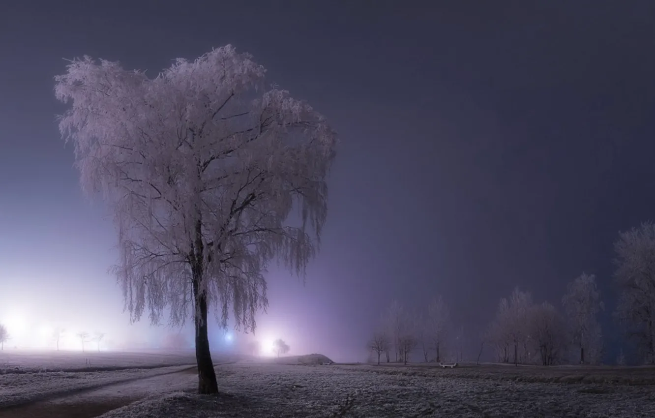 Фото обои зима, небо, снег, деревья, туман, дороги