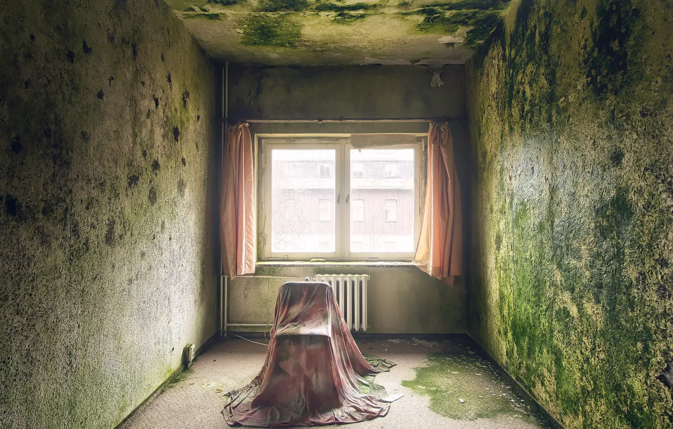 Фото обои комната, стена, окно