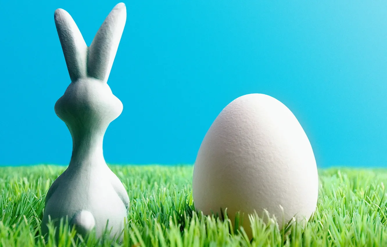 Фото обои трава, яйцо, пасхальный кролик