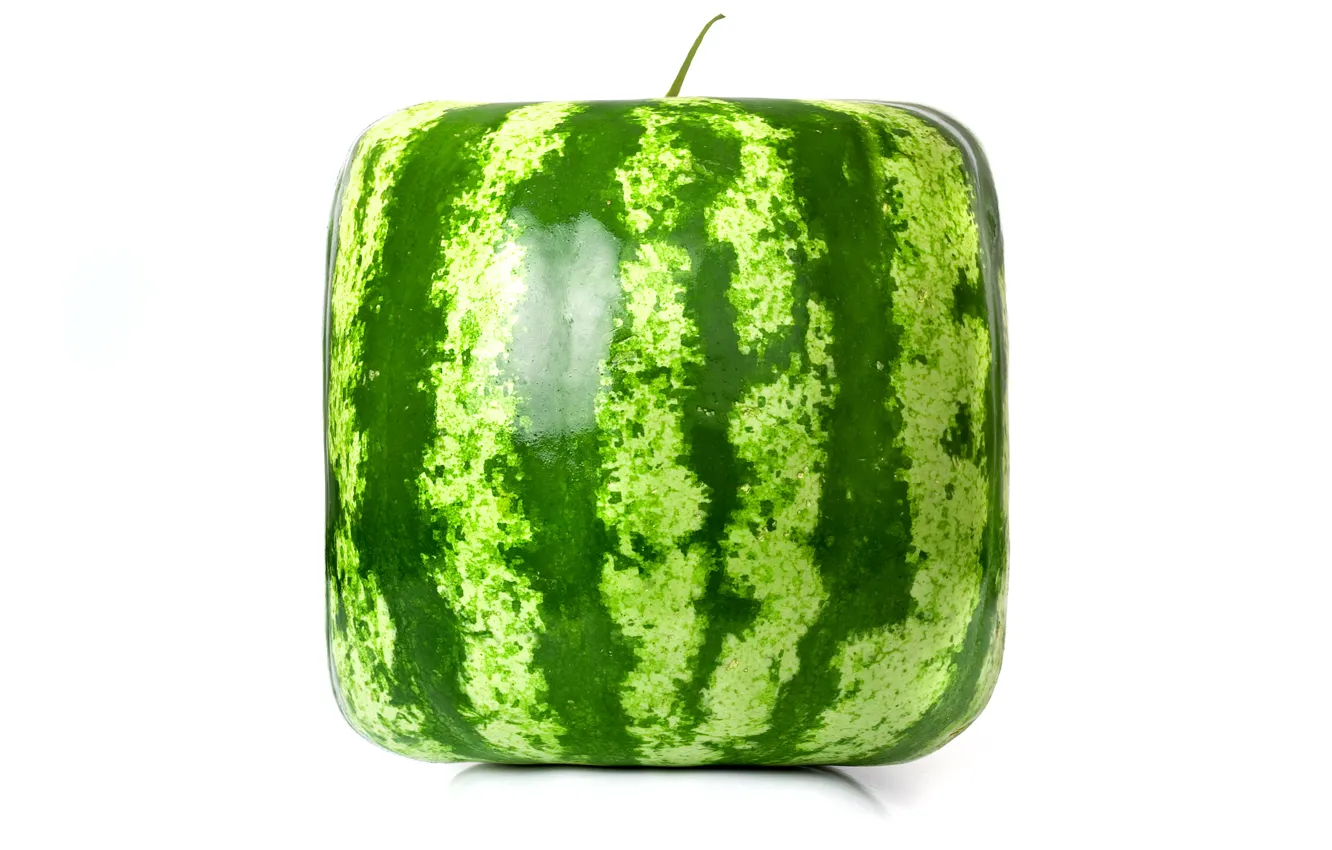 Фото обои рендеринг, square, watermelon, cube, квадратный арбуз