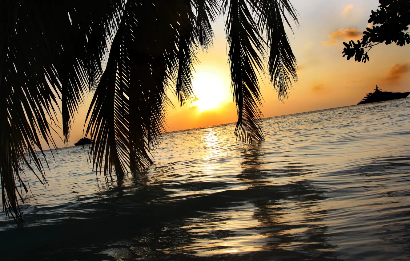 Фото обои море, небо, солнце, закат, пальмы, отдых, яхты, Остров