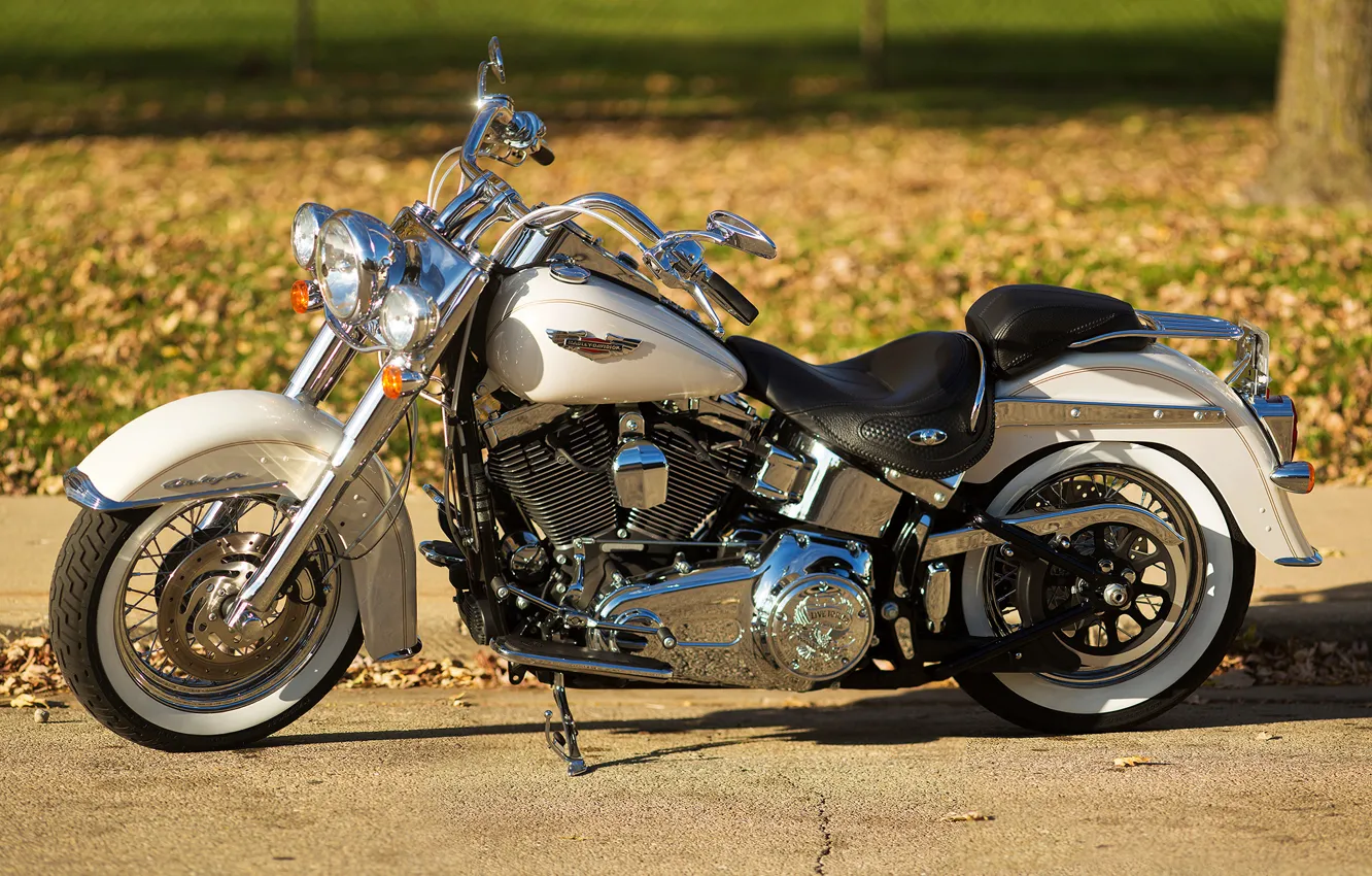 Фото обои дизайн, фон, мотоцикл, байк, Harley-Davidson