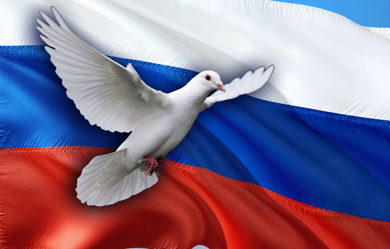 Фото обои Голубь, Флаг, Мир, Россия, Свобода, Миротворцы, Российские миротворцы, Голубь Мира