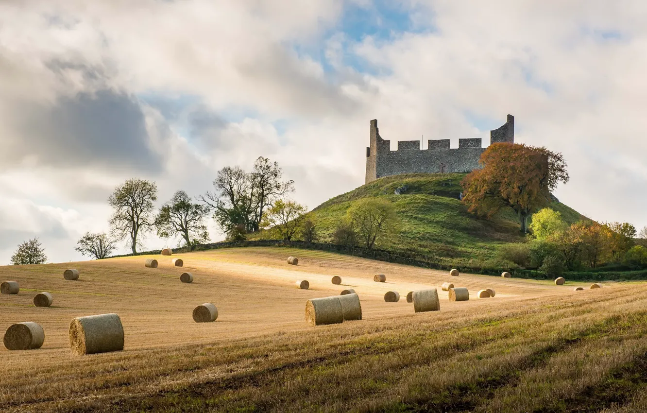 Фото обои поле, сено, Scottish Borders, Hume Castle
