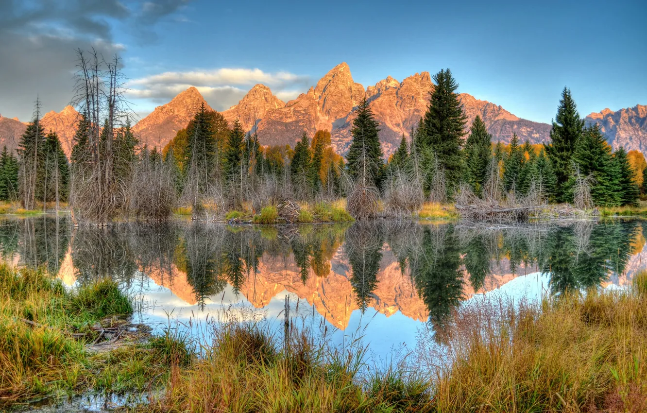 Фото обои деревья, пейзаж, горы, озеро, отражение