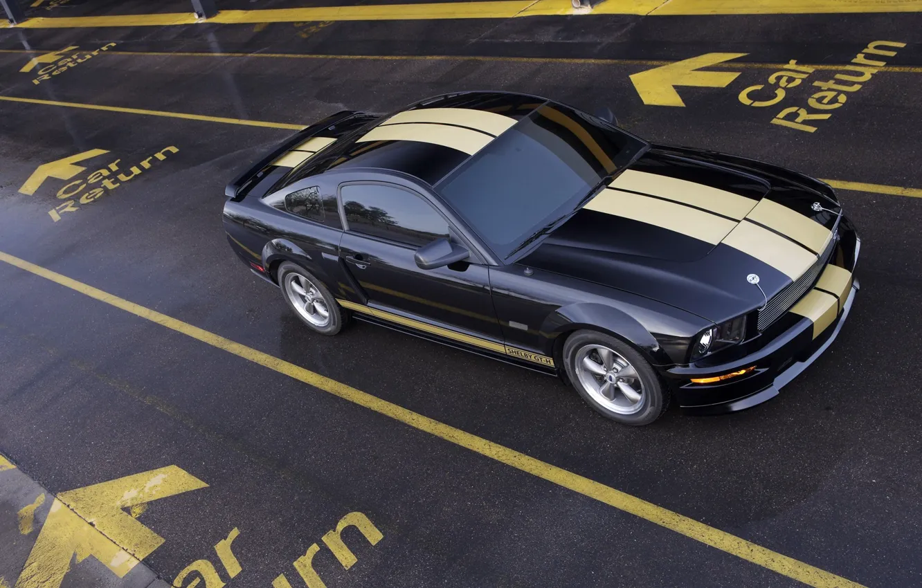 Фото обои Mustang, Shelby, GT500