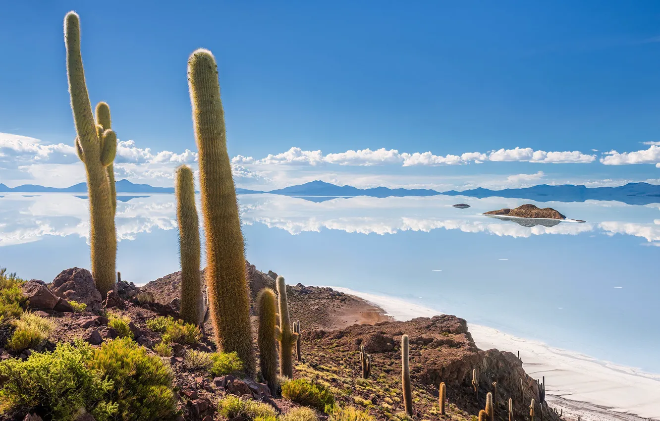 Фото обои Salar de Uyuni, Bolivia, Isla del Pescado