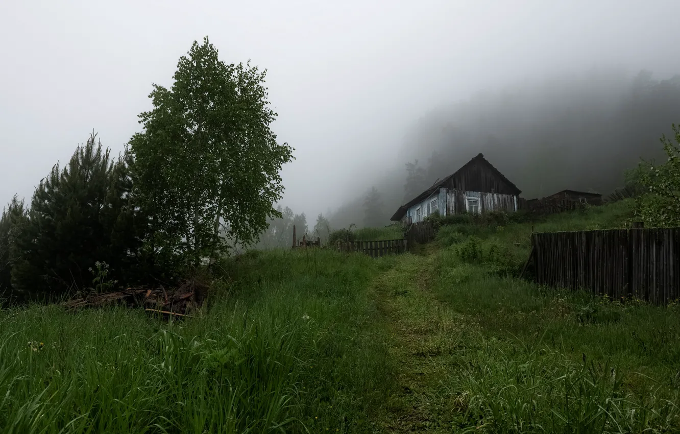 Фото обои зелень, лето, трава, деревья, туман, дом, поляна, подъем