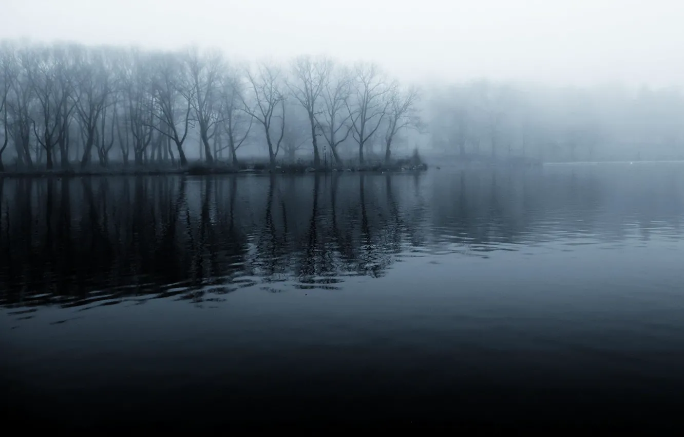 Фото обои лес, туман, река, берег, чёрно-белое, утро, прохлада