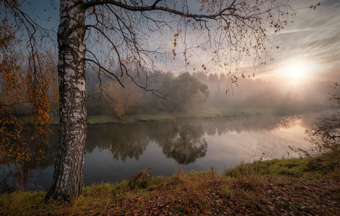 Фото обои осень, солнце, лучи, пейзаж, природа, туман, река, дерево