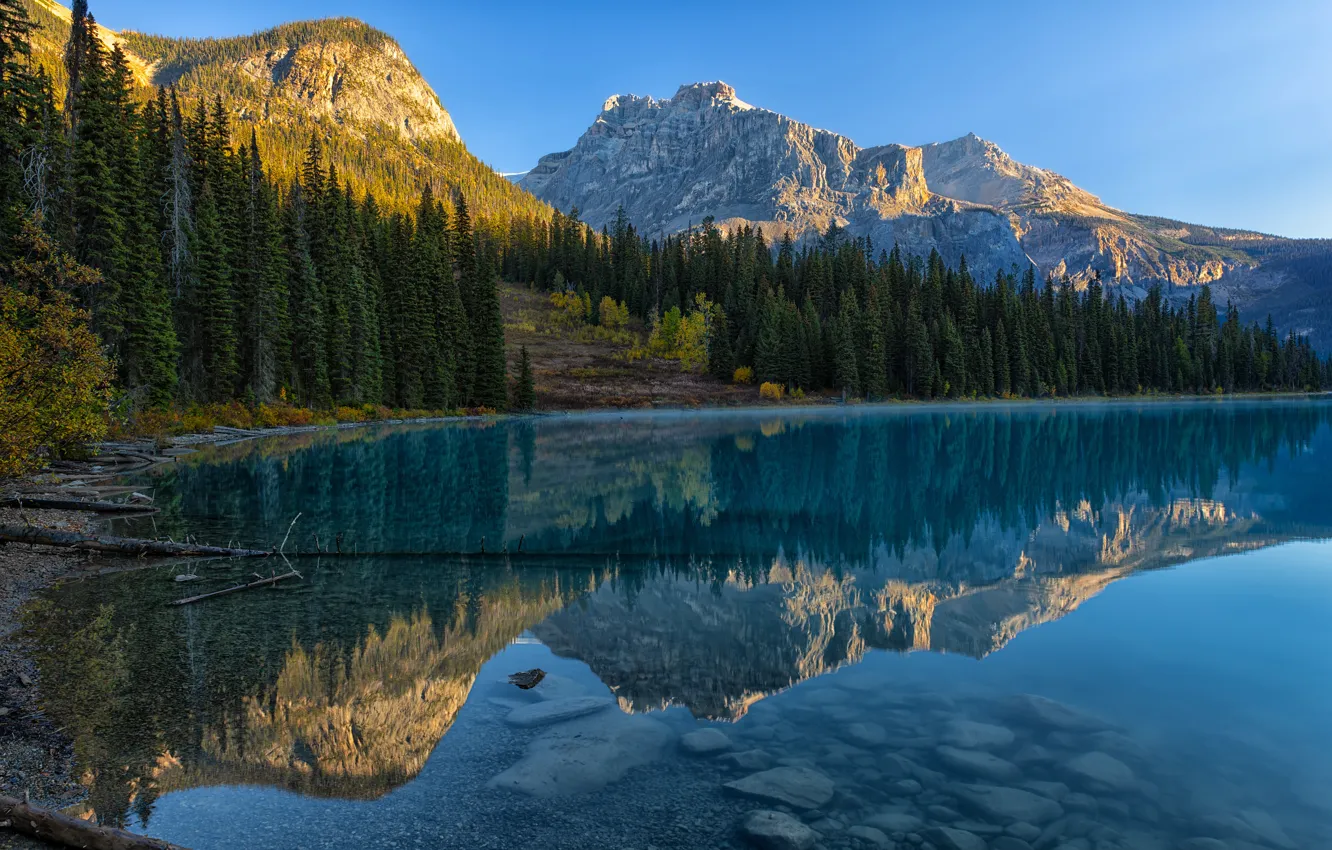 Фото обои лес, горы, озеро, отражение, Канада, Canada, British Columbia, Британская Колумбия