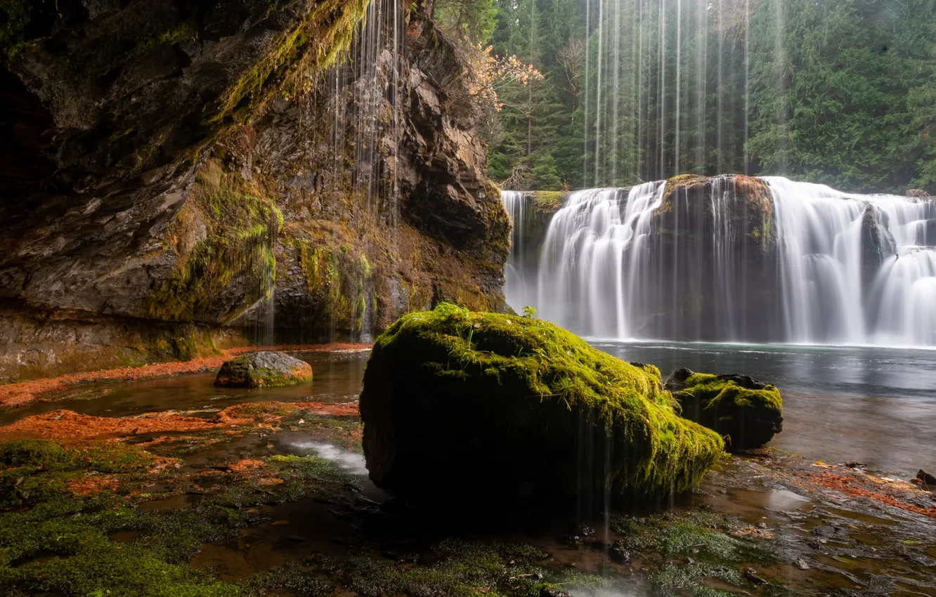 Фото обои река, камни, мох, водопады, Lower Lewis River Falls, Lewis River, Gifford Pinchot National Forest, Washington …