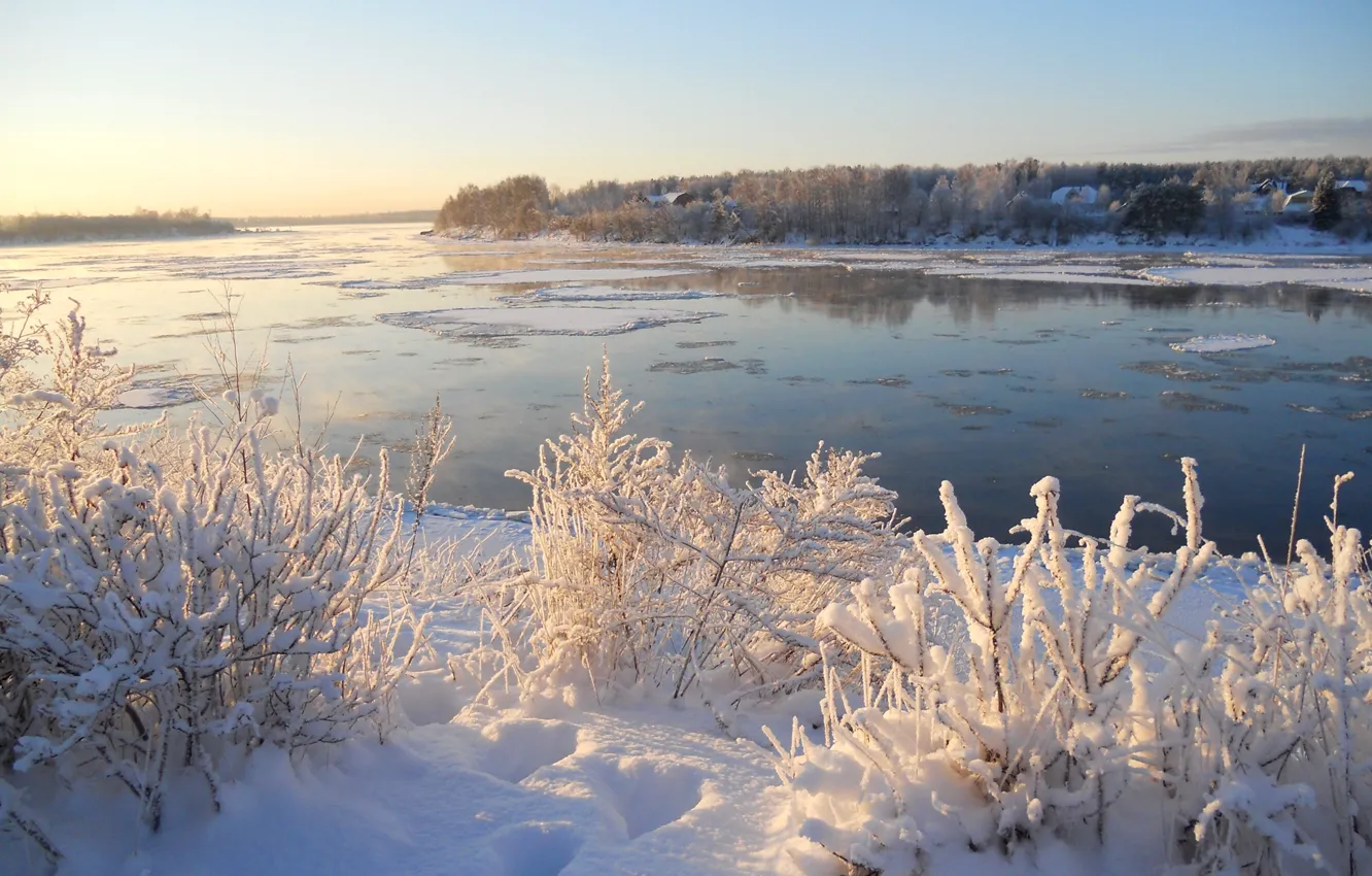 Фото обои зима, небо, снег, деревья, река, кусты