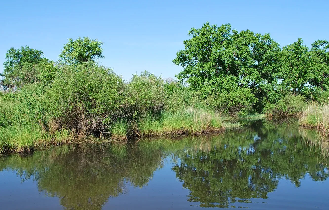 Фото обои лето, Озеро, водная гладь